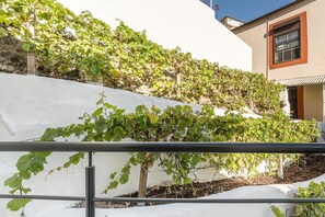 Detall de l'exterior