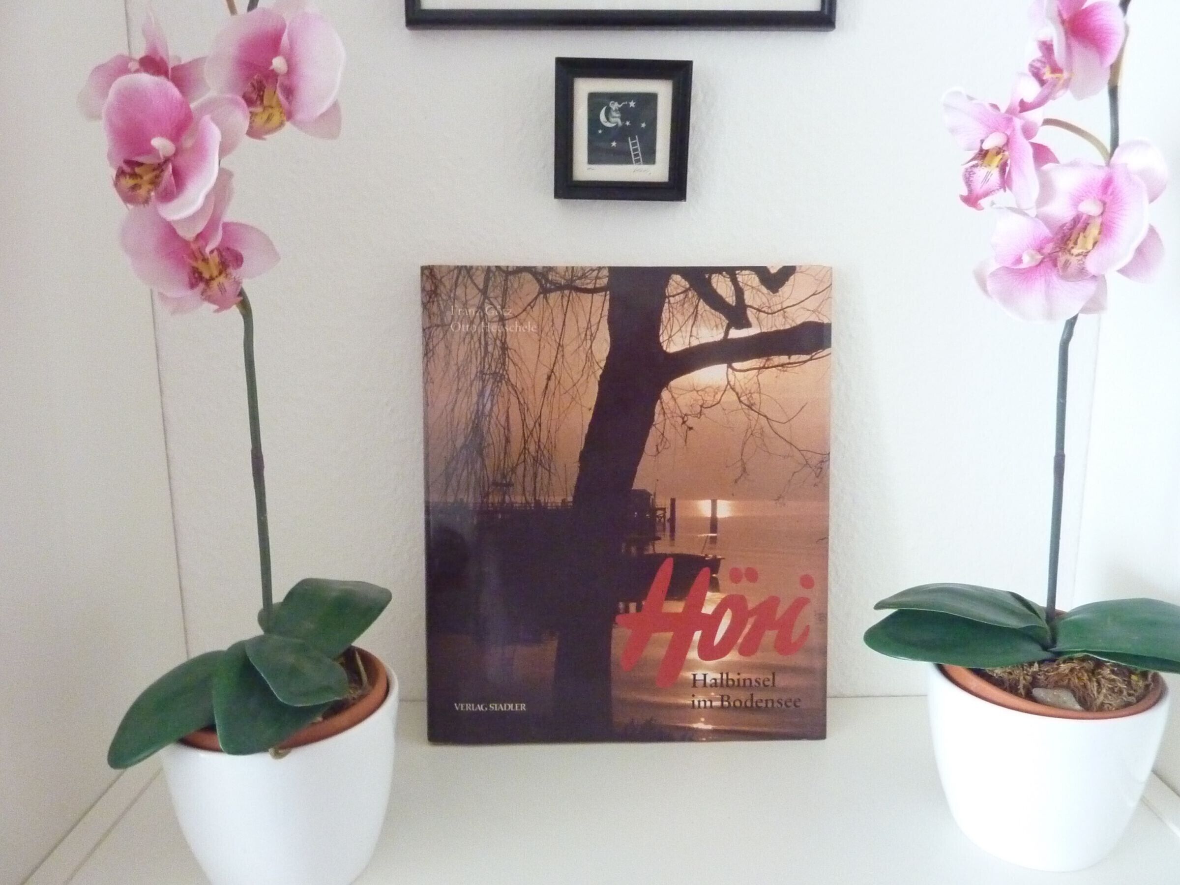 Two potted orchids, a framed picture, and a book titled 'Hori' on a white wall.