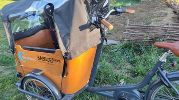 Un vélo équipé d’un coffre de transport portant l’inscription « BABBOE Curve » et indiquant une adresse de site web.