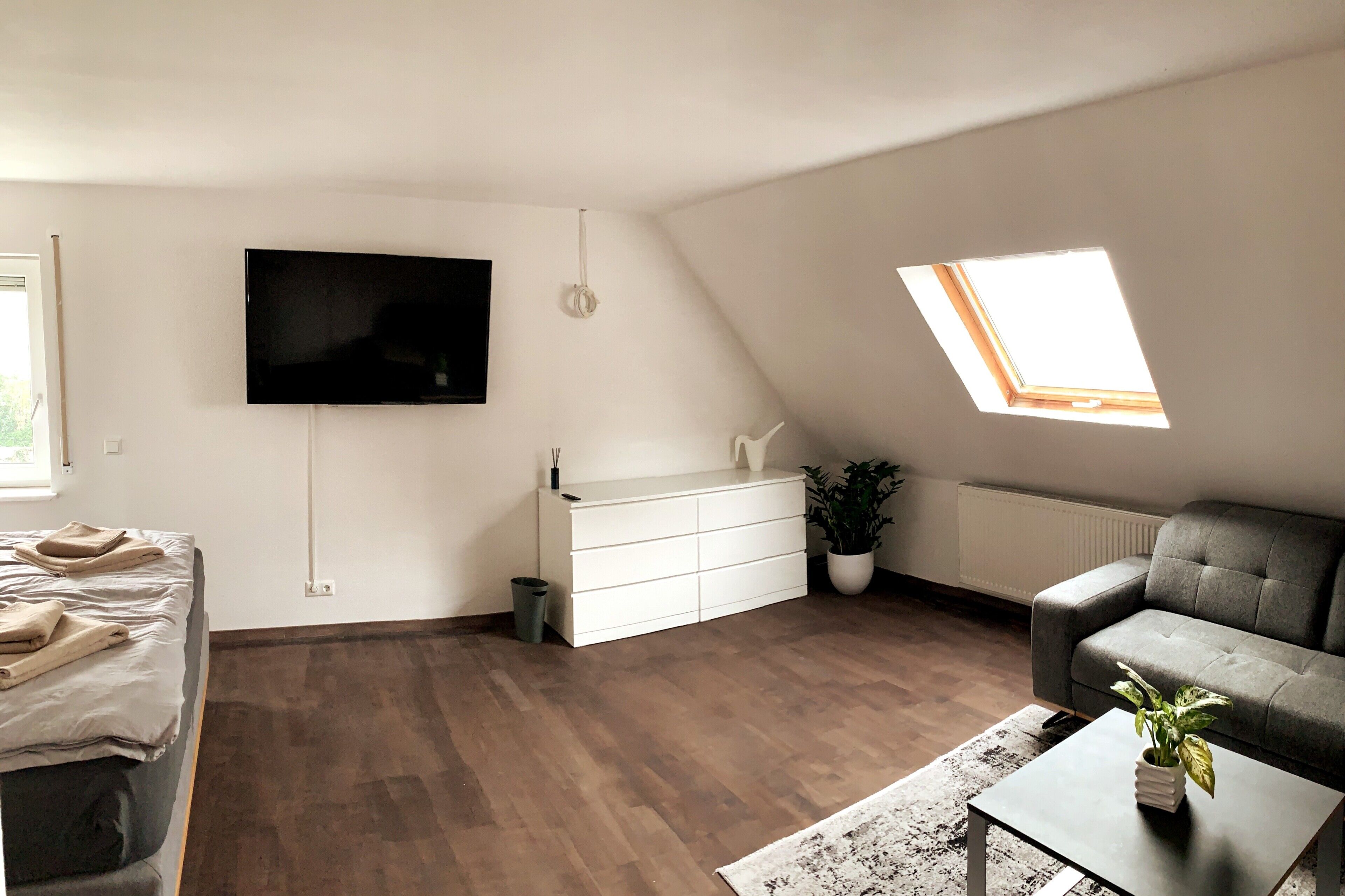 Fernseher, Videospiele