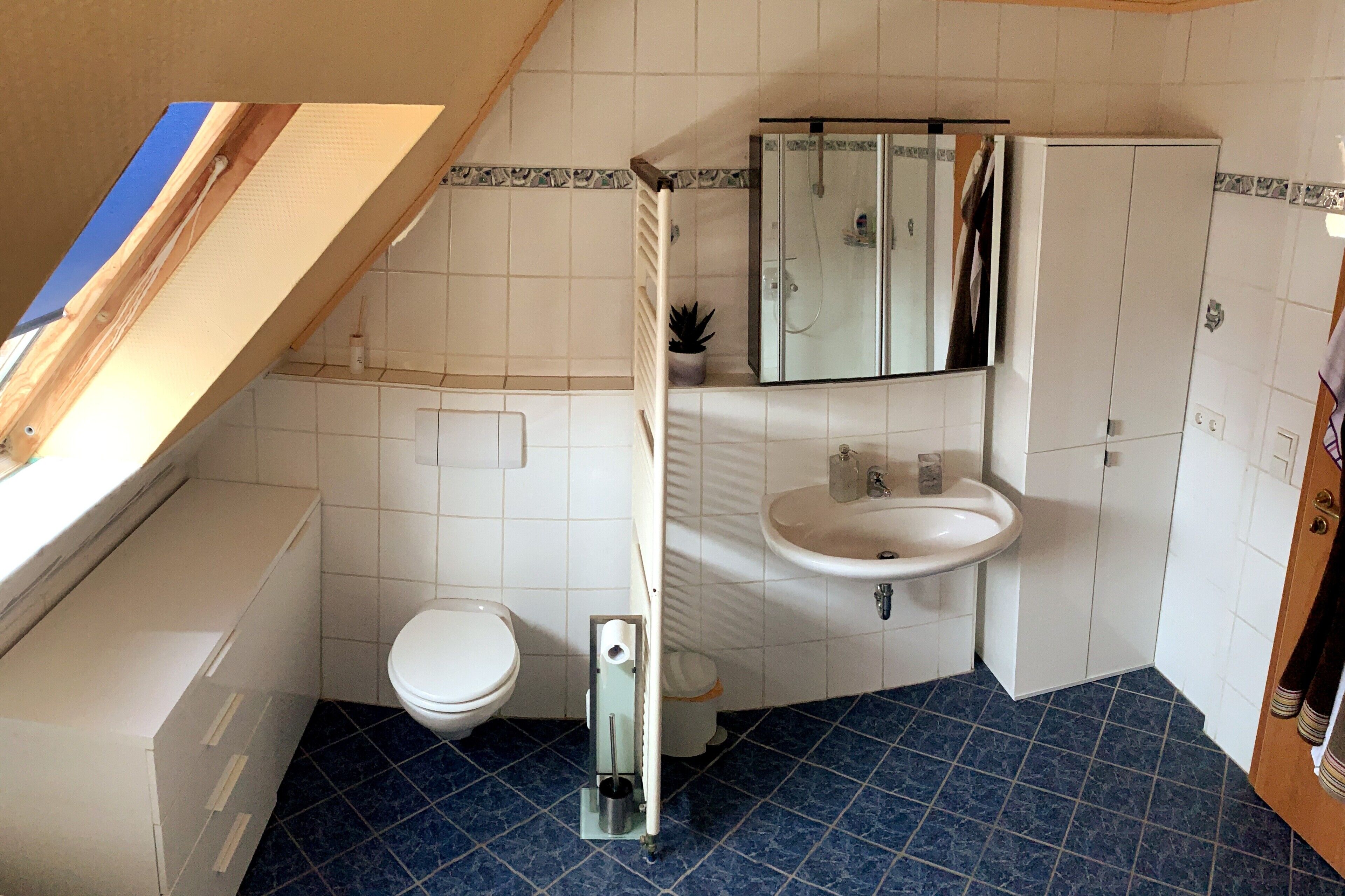 Shower, hair dryer, towels