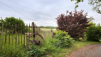 A rural landscape with a wooden fence, a wheelbarrow, and a road.