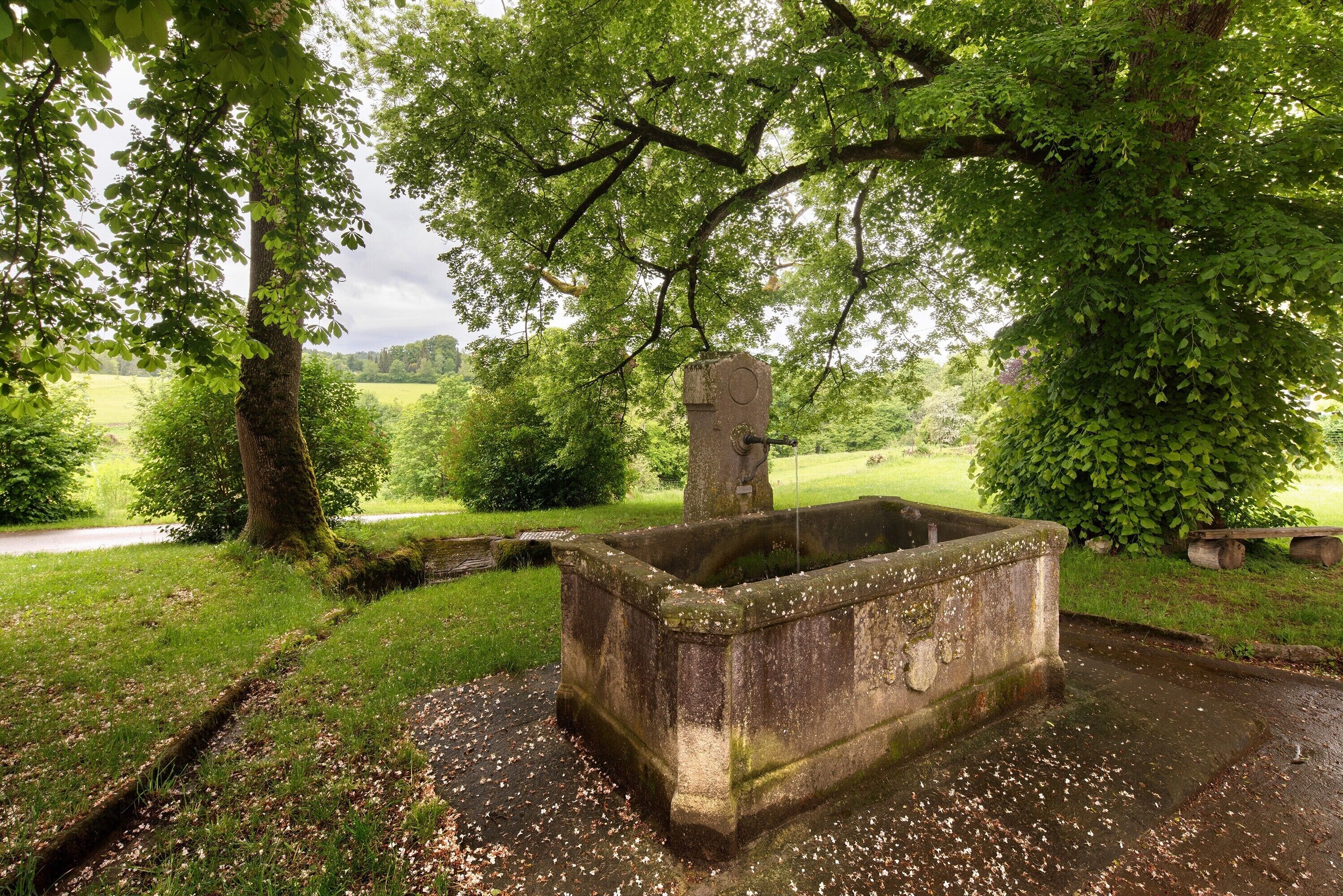 A stone well with a spout, surrounded by lush greenery and trees.