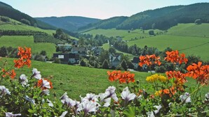 A rural landscape with a valley, houses, and flowering plants. - Apartment (Fuchsbau, 30 sqm) with Private Terrace and Wi-Fi (Schmallenberg)