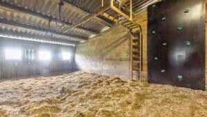 A barn interior with hay on the floor, a ladder, and a black wall with green handles. - Apartment (Fuchsbau, 30 sqm) with Private Terrace and Wi-Fi (Schmallenberg)