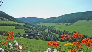 Eine ländliche Landschaft mit einem Tal, grünen Feldern und einer Häusergruppe.