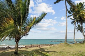 Playa en los alrededores 