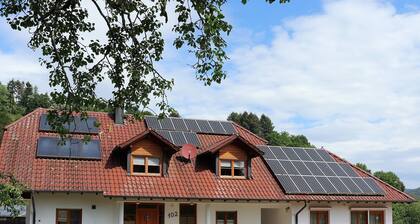 Ferienhaus Braun - 'Grassertblick' mit privater Terrasse und Wi-Fi, nähe Europapark