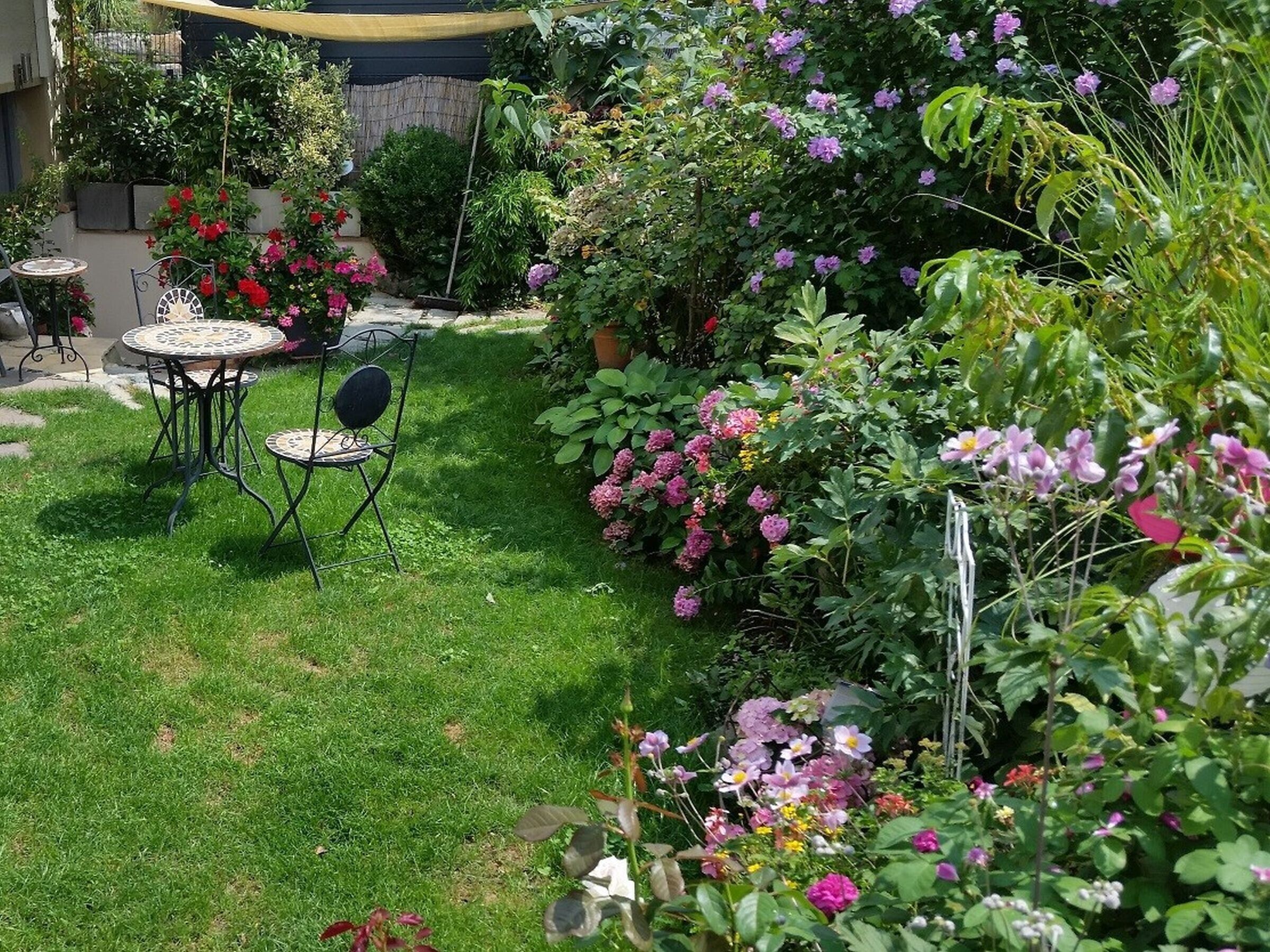 Speisen im Freien