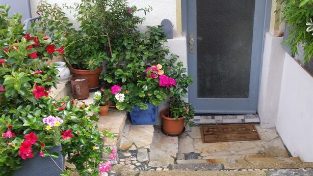 Een oprit met stenen bestrating, potplanten en een deur met hor.