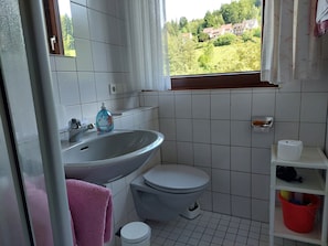 Shower, hair dryer, towels - Vacation apartment Bauer Apartment 55sqm with balcony (Bad Herrenalb)