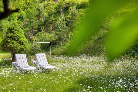 Two lounge chairs in a grassy area with white flowers, surrounded by dense green trees.