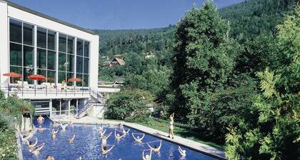 Quiet Black Forest Apartment with Forest View, Large Garden, Private Balcony, and Wi-Fi