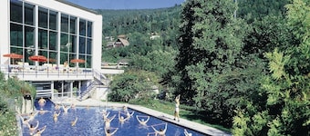 Appartement paisible en ForĂȘt-Noire avec vue sur la forĂȘt, grand jardin, balcon privĂ© et Wi-Fi