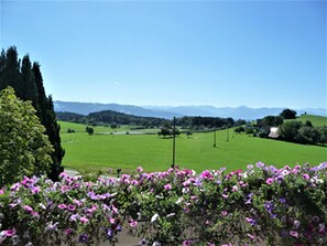 Property grounds - Mountain view apartment, 55 sqm, 1 bedroom, max. 4 persons (Lindau)