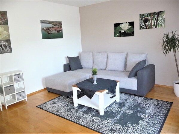 Fernseher