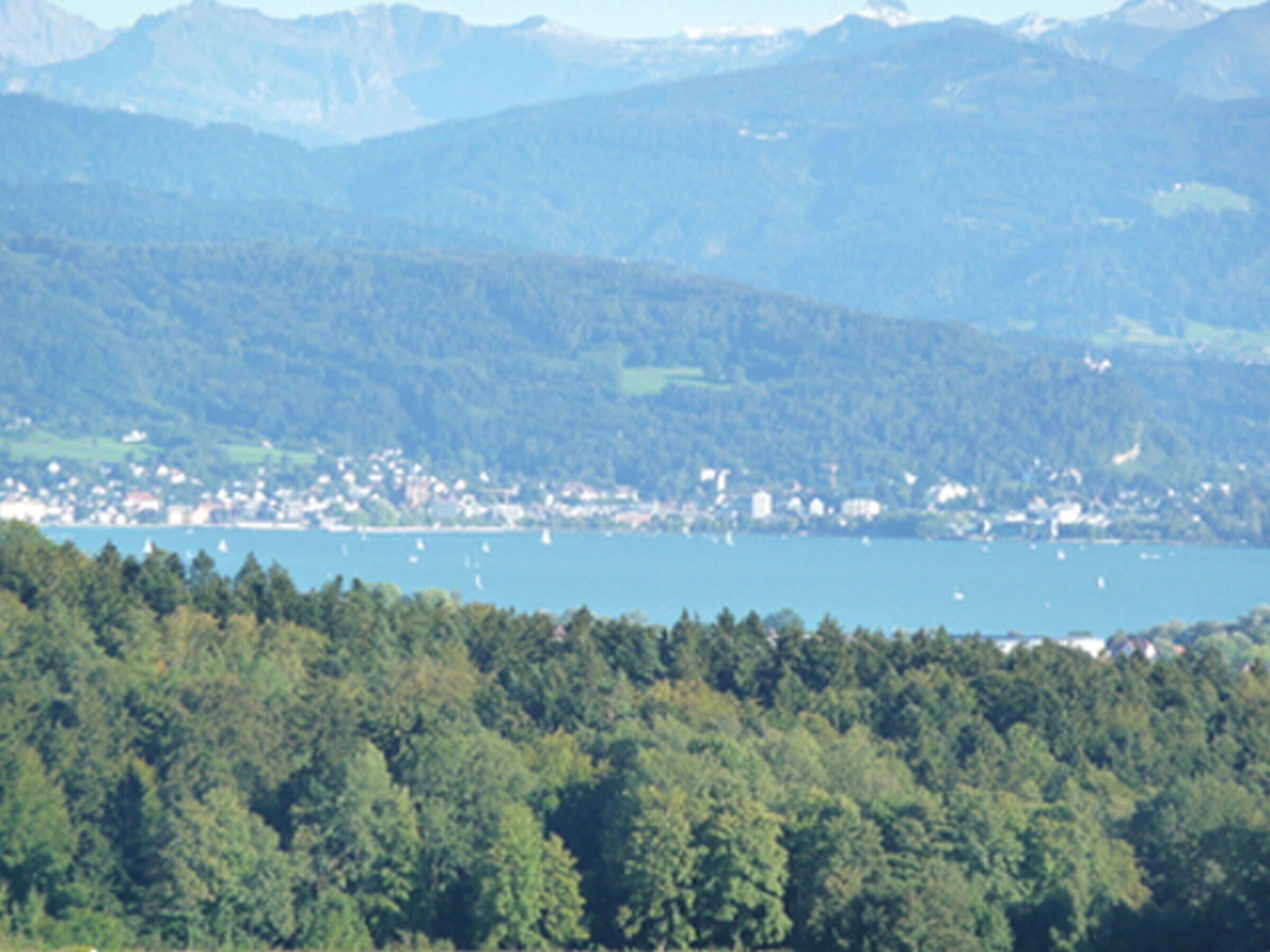 A mountainous landscape with a lake and a town in the valley.