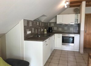 Fridge, oven, stovetop, electric kettle