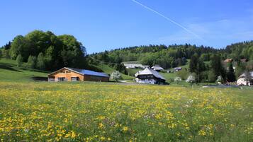 Enceinte de lâhĂ©bergement