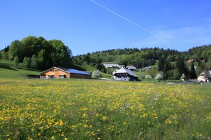 Property grounds - Apartment 'Eichentraum' with Mountain View, Shared Garden and Wi-Fi (Ibach)