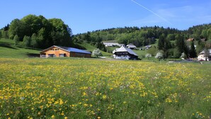 A rural landscape with a field of yellow flowers, a barn, and houses on a hillside. - Apartment 'Hochtalblick' with Mountain View, Shared Garden and Wi-Fi (Ibach)