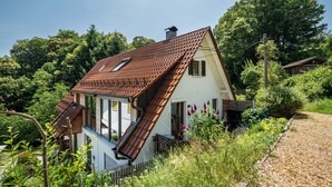 A house with a sloped roof, a visible chimney, and a garden with various plants and flowers.