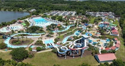 The Salty Tortoise - By Beach