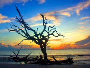 Beach nearby - The Salty Tortoise - By Beach (Jekyll Island)