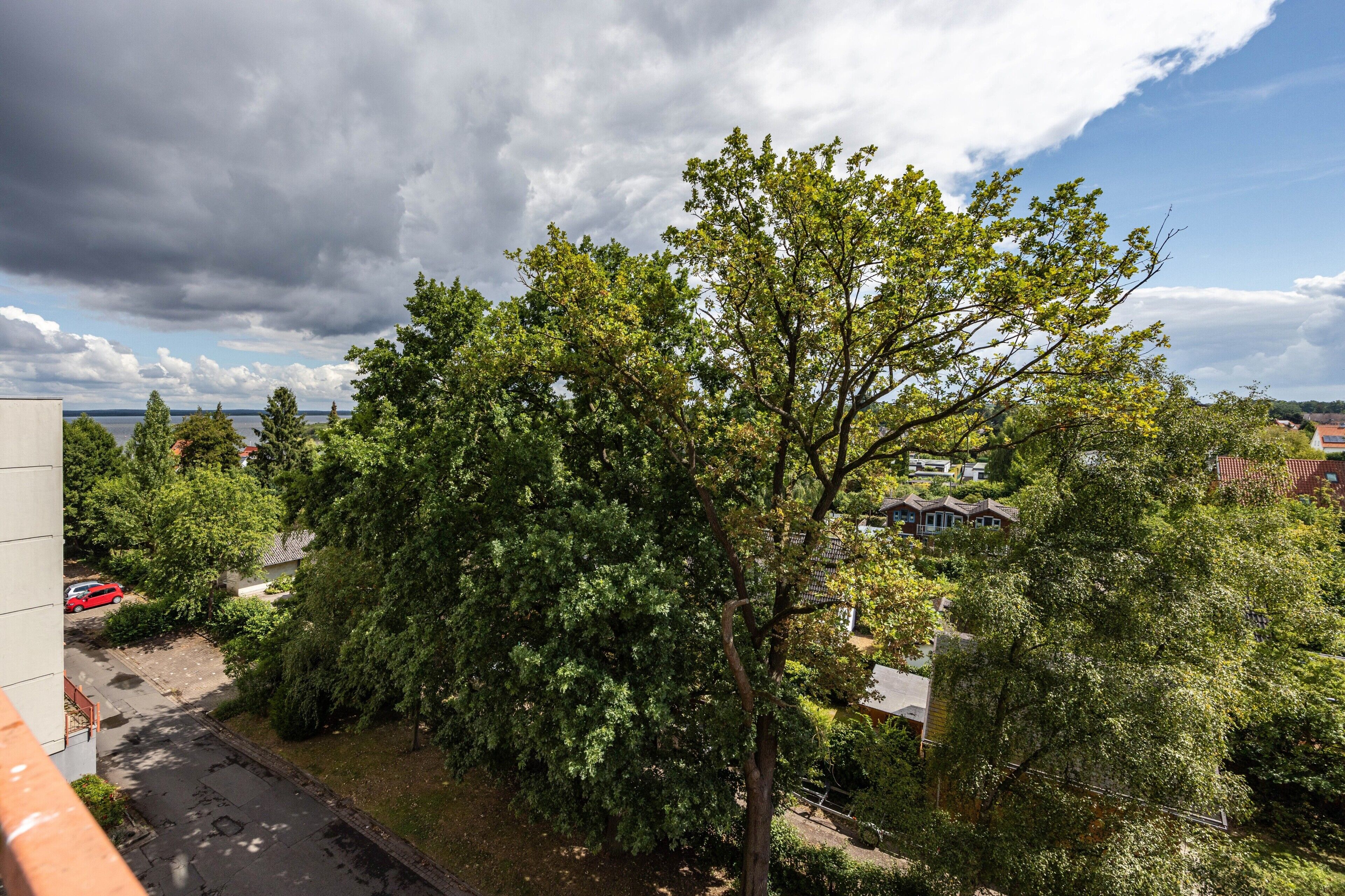 Ett bostadsområde med ett stort träd, en gata och hus i bakgrunden.