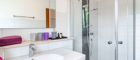 Shower, hair dryer, towels