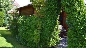 A wooden cabin with a covered patio area, surrounded by dense greenery and a well-maintained lawn. - Apartment '3' with Private Garden, Balcony and Wi-Fi (Hagnau am Bodensee)