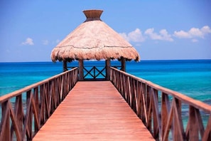 Property grounds - Exclusive 1BR Suite in Riviera Maya Retreat (Riviera Maya)