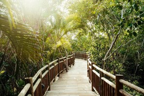 المنطقة المحيطة بالمنشأة