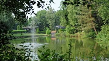 Casa | Vista desde la propiedad