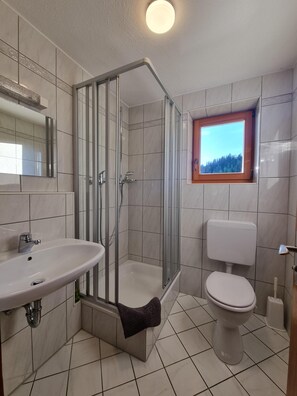 Shower, hair dryer, towels