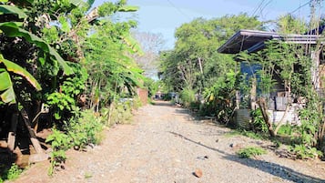 Pemandangan jalan