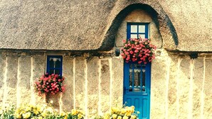 Un edificio de piedra tradicional con techo de paja, una puerta azul y macetas con flores.