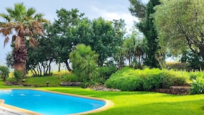 A swimming pool surrounded by lush greenery and various trees.