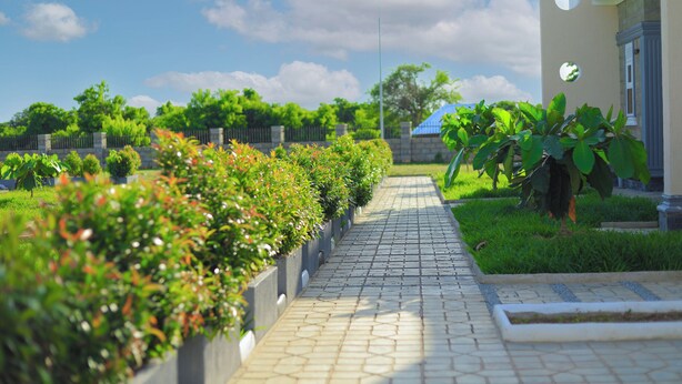 A paved pathway leading to a building with a blue roof, surrounded by greenery and a fence. - country sights Hotel Bulisa (Bulisa)