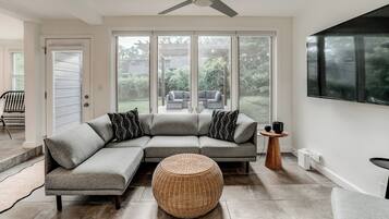 Smart TV, fireplace, books, computer monitors