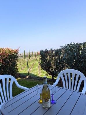 Ein Tisch mit einer Weinflasche und zwei Gläsern, draußen platziert mit Blick auf einen Weinberg und einen klaren Himmel.