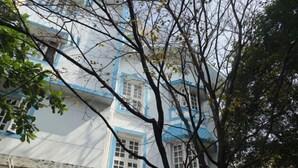 Un edificio con facciata bianca e dettagli blu, caratterizzato da numerose finestre e un'ingresso. Vasi con piante ornamentali sono disposti davanti all'edificio.