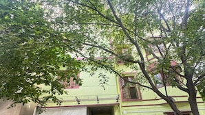 Un edificio con facciata verde, un ingresso ben visibile e diverse piante in vaso davanti.