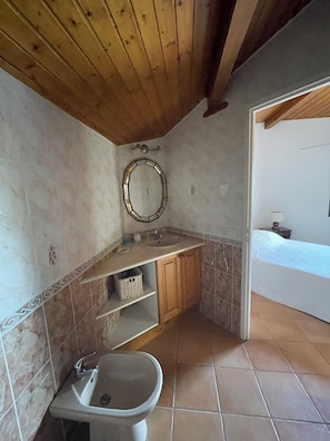 Shower, hair dryer, bidet, towels
