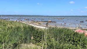 Et kystlandskab med sandstrand, spredte sten og frodig, grøn bevoksning.