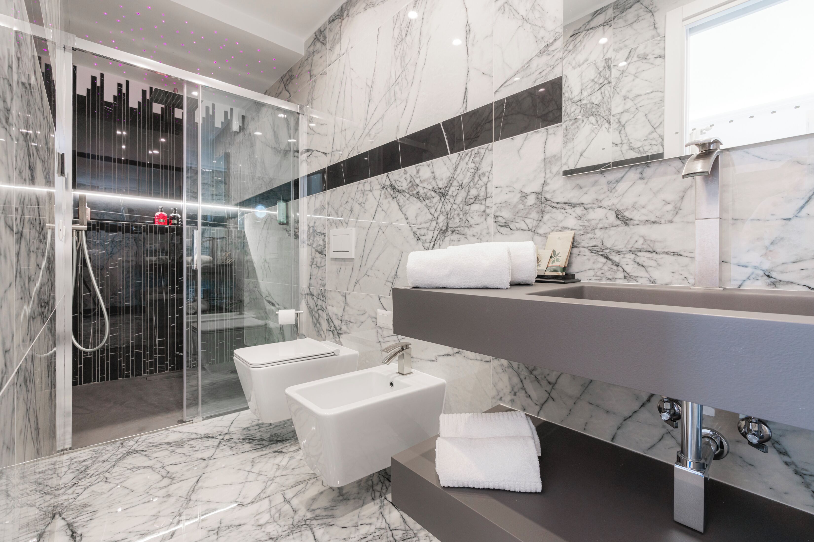 Shower, hair dryer, bidet, towels