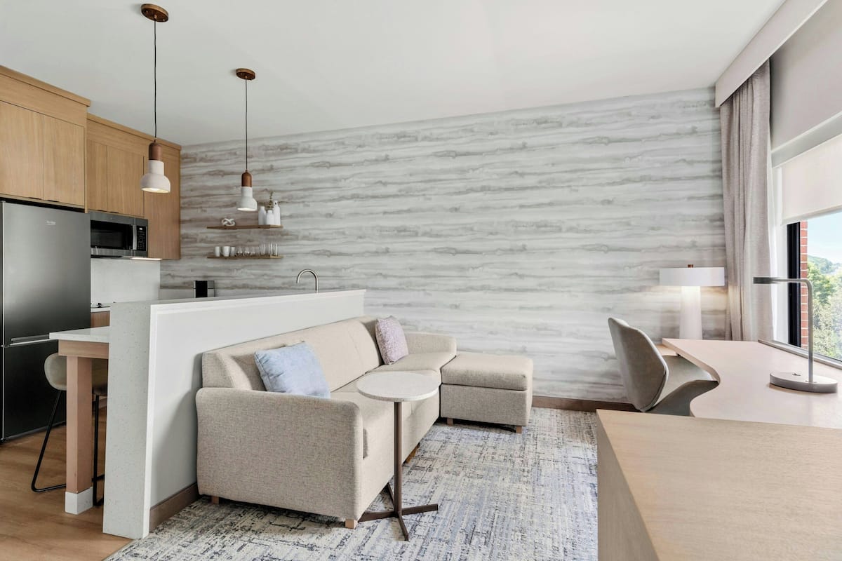 Studio, 1 giường cỡ king và sofa giường, không hút thuốc | Khu phòng khách