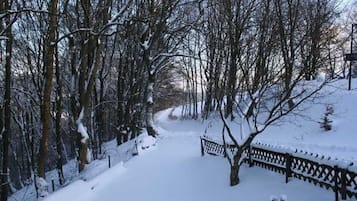 Ferienhaus | Blick von der Unterkunft