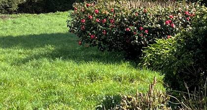 Maison Familiale avec vue mer / Plage 10min Ă pieds