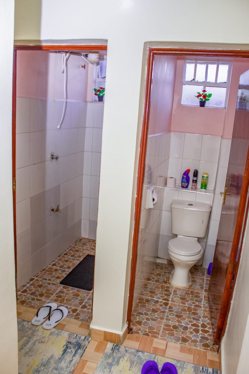 Une salle de bain avec une douche, des toilettes et une petite fenêtre agrémentée d’une plante.
